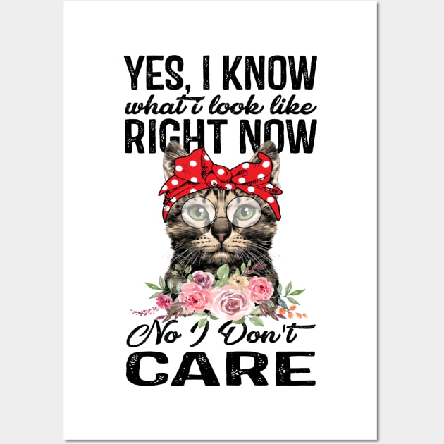 Cat Dont Care Wall Art by tiranntrmoyet